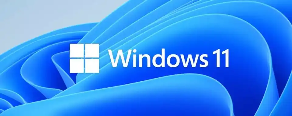 Windows 11